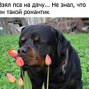 ���� ����, ������, 52 ���� - ��������� 17 ������� 2016 � ������ ������ ��������