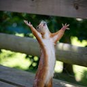 ���� �����, ���, 52 ���� - ��������� 2 ������� 2016 � ������ ���� ����������