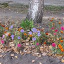 ���� ������� �� �������, ����������, 66 ��� - ��������� 22 �������� 2016 � ������ ������ � ������