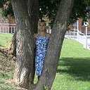 ���� ���������, ������, 41 ��� - ��������� 21 ������� 2016 � ������ ���� ����������