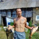      ,  , 50  -  13  2016    