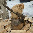 ���� ����, ������ - ��������� 5 ������� 2016 � ������ ������ ��������