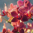 ���� ��������, ���������, 58 ��� - ��������� 13 ������� 2016