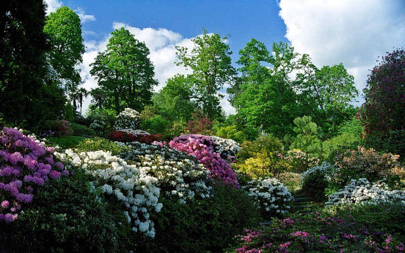 ))). Leonardslee Gardens (  ) , Horsham, West Sussex    ... - 5