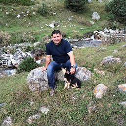 ����, �������, 58 ���