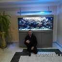 ��������. �� ������� �������, �������, ����������