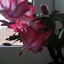 ���� ����, �����-���������, 58 ��� - ��������� 13 ������ 2016 � ������ ������ ��������