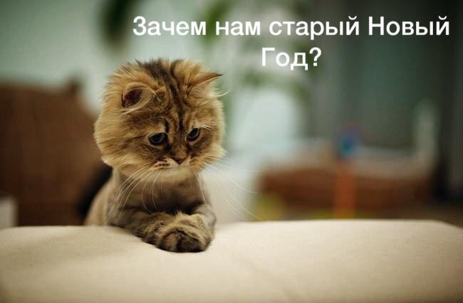 -      - !  , ,   ... -    ...