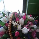 ���� ��������, ������, 52 ���� - ��������� 9 ����� 2017 � ������ ������ ��������