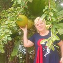 �����2017 �.. �� ������� ���� ����������