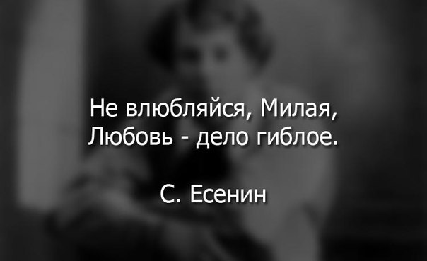  | ,  - 6  2017  23:41