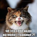 ���� �����, ������, 37 ��� - ��������� 24 ������ 2016 � ������ ���� ����������