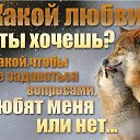 ���� ����, ���� - ��������� 16 ������ 2017 � ������ ������ ��������