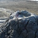  ,  -  1  2017        ۻ