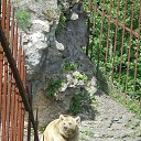 ���� Racosh, ����-�������, 60 ��� - ��������� 26 ������ 2016 � ������ ���� ����������