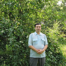 �������, ���������