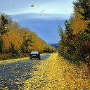 ���� ������, �����������, 76 ��� - ��������� 10 ������ 2016 � ������ ���� ������..�