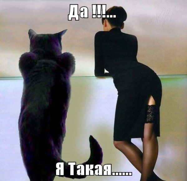      ,   ??? ,        ...