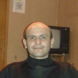 , , 51 