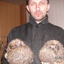  , -, 57  -  17  2017    