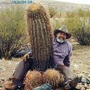 ���� �� �������, ���� - ��������� 20 ������� 2016 � ������ ���� ����������