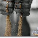 ���� ��������, ������������ - ��������� 17 ����� 2017 � ������ ������ ��������