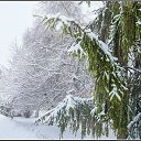 4. �� ������� ������� �������.�
