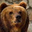 ���� ������, ��������������, 62 ���� - ��������� 15 ������� 2016 � ������ ������