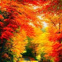 ���� ����, ������, 63 ���� - ��������� 7 ������� 2016 � ������ ������ ��������