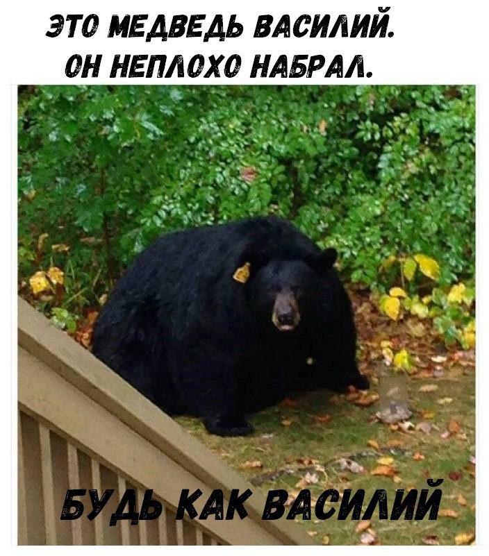 SportFeed - 6  2017  10:38