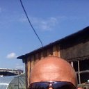 ���� �������, ���������, 50 ��� - ��������� 14 ������� 2016