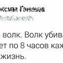 ���� ������, ����, 41 ��� - ��������� 28 ������� 2017 � ������ ������ ��������