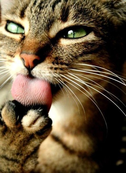       - 20  2016  21:59 - 2