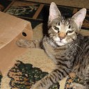 ���� �������, �����������, 42 ���� - ��������� 16 ������� 2016 � ������ ������ ��������