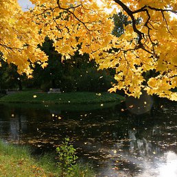 �����, �����-���������, 23 ����