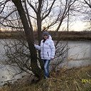  ,  , 33  -  26  2016     