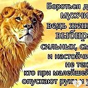 ���� �������, ���������, 59 ��� - ��������� 15 ������� 2016 � ������ ������ ��������