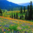 ���� ����, ��������� - ��������� 14 ����� 2017 � ������ ���������