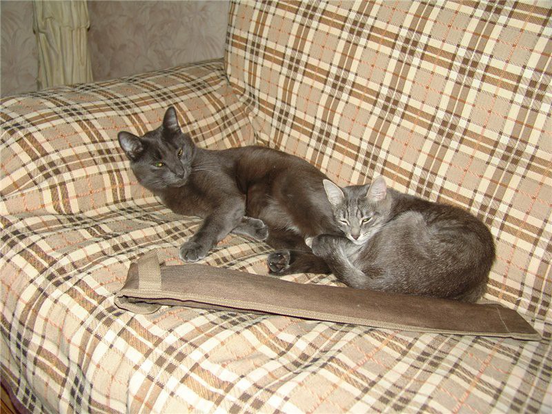 #_.             ... - 4