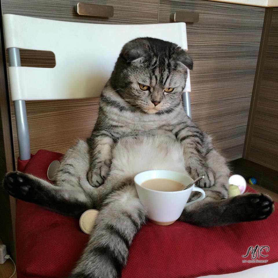 ��� ������� ���� ������ ����...... �������� ��� � �������� ��������!))))