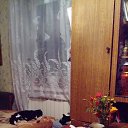 ���� ������� ������� ���������, ������ ��������, 41 ��� - ��������� 17 ������ 2016 � ������ ���� ����������