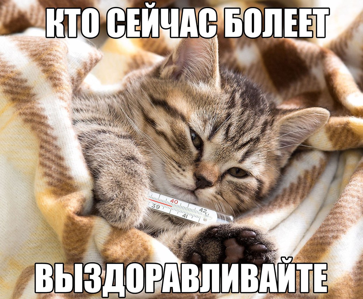 " —  ...  " - 20  2017  21:42
