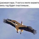 ���� Sergey, ����������� - ��������� 24 ������� 2016