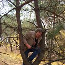 ���� ��������, �������, 54 ���� - ��������� 18 �������� 2016 � ������ ���� ����������