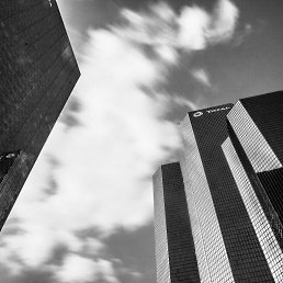 ����, ����-�����������, 44 ����