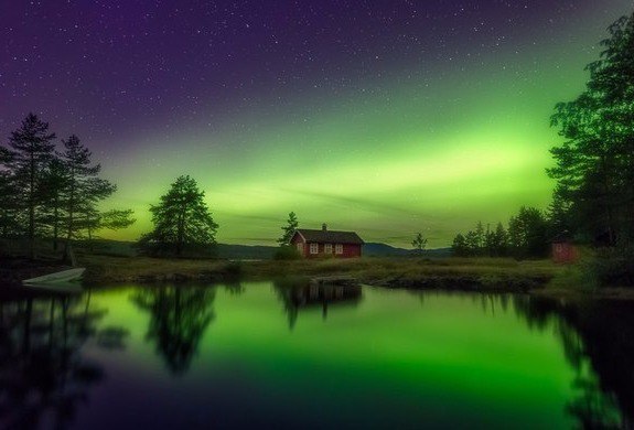      . Ole Henrik Skjelstad - 8