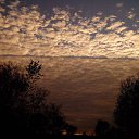 ���� ����, ���������, 67 ��� - ��������� 8 ������ 2016 � ������ ���� ����������