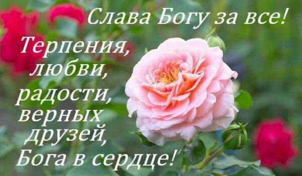 ~Dasha~ - 23  2016  06:03