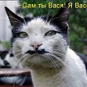 ���� �����, ����, 79 ��� - ��������� 17 ������ 2017 � ������ ����������� �����