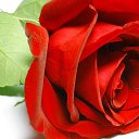 ���� �, ������ - ��������� 25 ������� 2016 � ������ ���� ����������